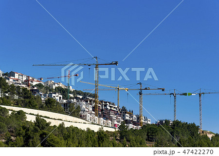 Many cranes silhouettes on clear and blue sky 47422270
