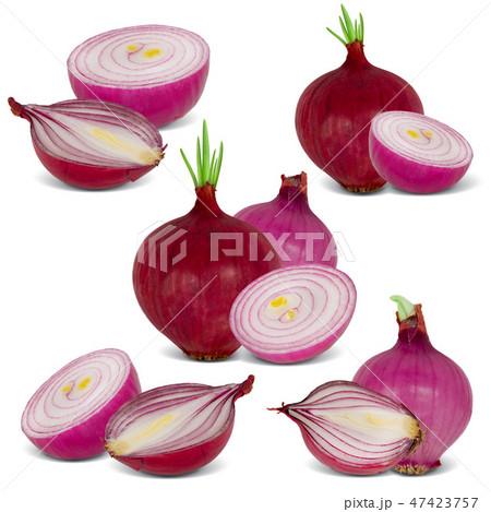 Onions Isolated 47423757