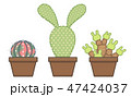 group of 2D cute pastel cactus illustration 47424037