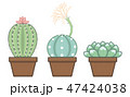 group of 2D cute pastel cactus illustration 47424038