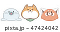 cute animal seal shiba redpanda illustration 47424042