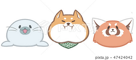 cute animal seal shiba redpanda illustration cute animal seal shiba redpanda illustration 47424042