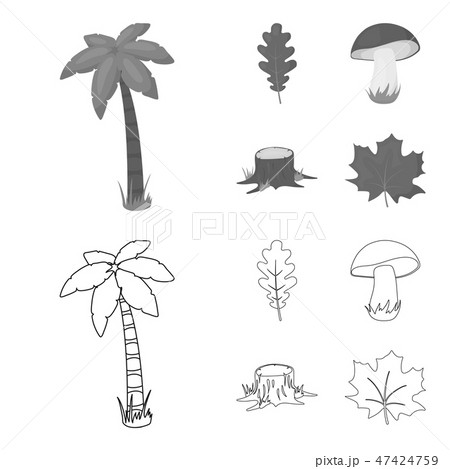 Oak leaf, mushroom, stump, maple leaf.Forest set collection icons in outline,monochrome style vector 47424759