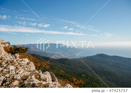 Picture of highlands , orange bushes, cloudy sky 47425737