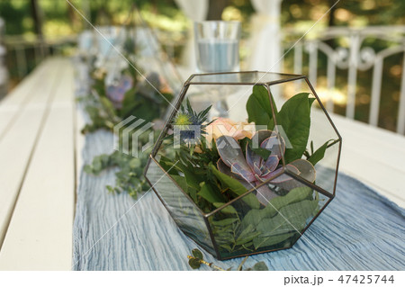 Florarium with fresh succulent and rose flowers Florarium with fresh succulent and rose flowers 47425744