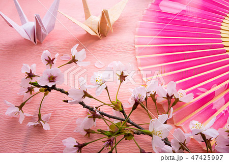 扇子と折り鶴と桜 47425997