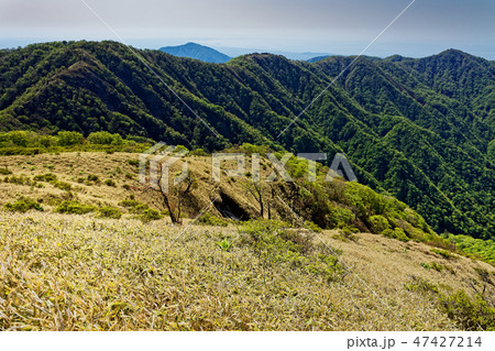 丹沢稜線から見る丹沢・大山と湘南方面の眺め 47427214