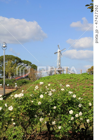 駕与丁公園の展望広場 47427262