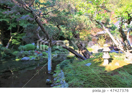 雷山千如寺の心字池 雷山千如寺の心字池 47427376