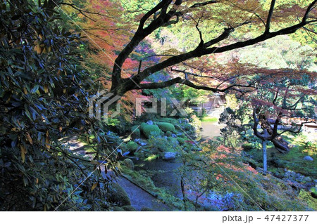 雷山千如寺の心字池 雷山千如寺の心字池 47427377