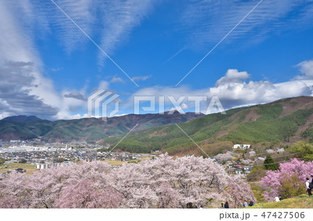 松本　弘法山古墳の桜 47427506