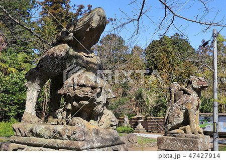 島根県松江市にある小泉八雲が通った城山稲荷神社入口付近の狛犬 47427914