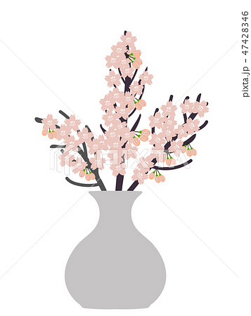 桜の切り花のイラスト素材