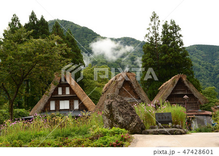 相倉合掌造り集落へ行きました #15 相倉合掌造り集落へ行きました #15 47428601