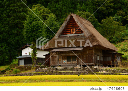 相倉合掌造り集落へ行きました　　＃13 47428603