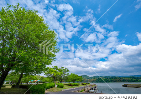 初夏の東郷池周辺 47429392