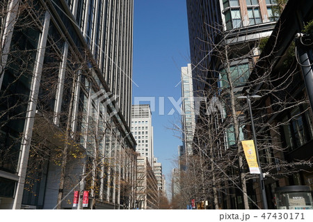 東京 丸の内 馬場先通り 東京 丸の内 馬場先通り 47430171