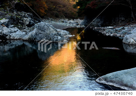 松尾川の水面に映り込む黄葉 松尾川の水面に映り込む黄葉 47430740