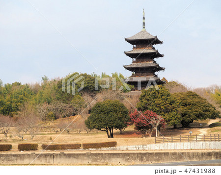 菜花咲く備中国分寺五重塔 菜花咲く備中国分寺五重塔 47431988