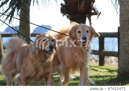 北浦海岸の散歩 北浦海岸の散歩 47432471