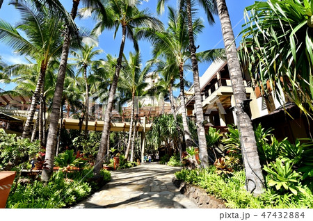 ハワイの休日 47432884