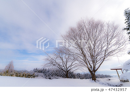 雪のある公園 47432957
