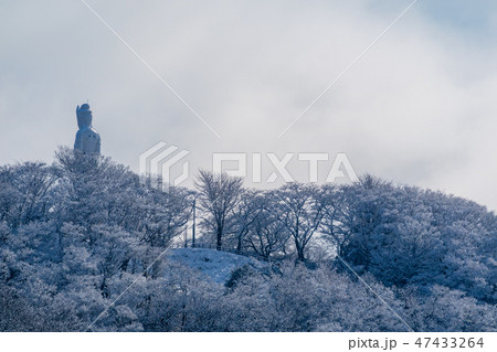 雪の船岡城址公園　平和観音 47433264