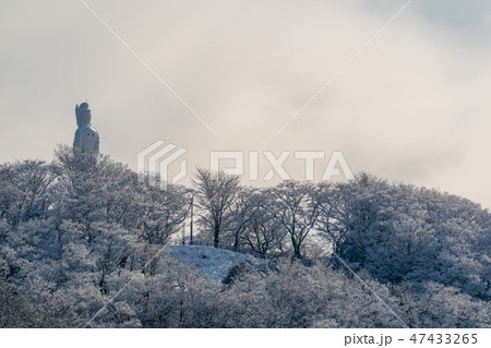 雪の船岡城址公園　平和観音 47433265