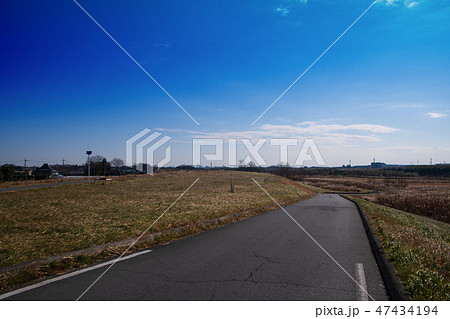 入間川堤　下流大宮方面　川島町 47434194