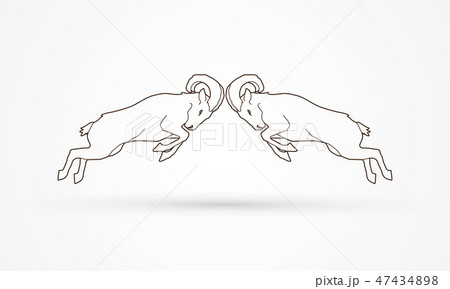 Two Ibexes fighting graphic vector Two Ibexes fighting graphic vector 47434898