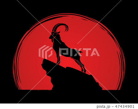 Ibex standing on the cliff graphic vector Ibex standing on the cliff graphic vector 47434901