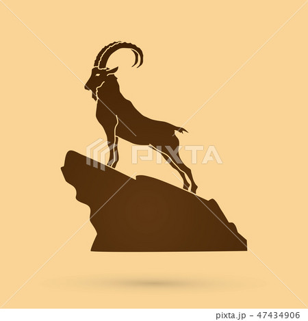 Ibex standing on the cliff graphic vector Ibex standing on the cliff graphic vector 47434906