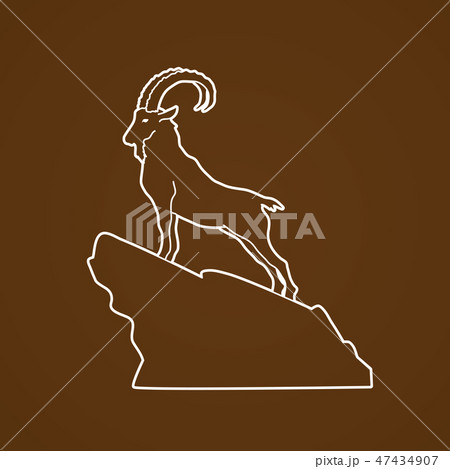 Ibex standing on the cliff graphic vector Ibex standing on the cliff graphic vector 47434907