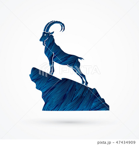 Ibex standing on the cliff graphic vector 47434909