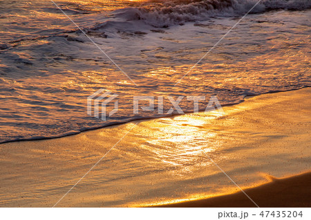 黄金色のなぎさ 47435204