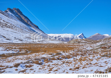 カナディアンロッキー　ウィルコックストレイル 47435385