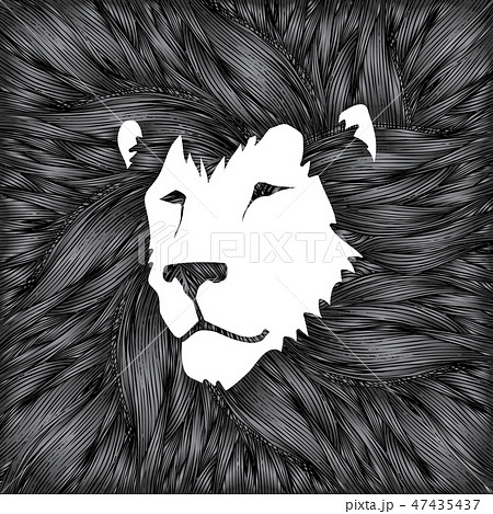 Lion head, Leo head cartoon graphic vector 47435437