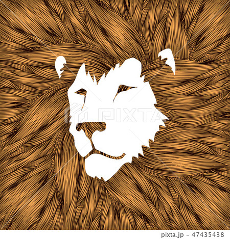 Lion head, Leo head cartoon graphic vector Lion head, Leo head cartoon graphic vector 47435438