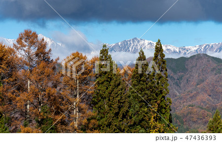 雪の白馬三山 雪の白馬三山 47436393