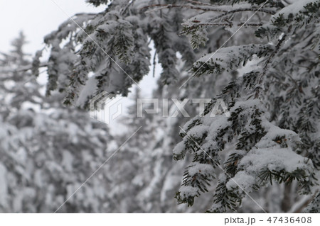 雪景色 47436408