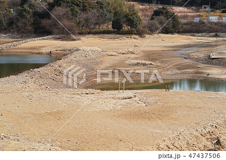 佐布里池　耐震改修工事による水抜き 2019.1.25 47437506