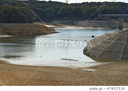 佐布里池 耐震改修工事による水抜き 2019.1.25 佐布里池 耐震改修工事による水抜き 2019.1.25 47437510