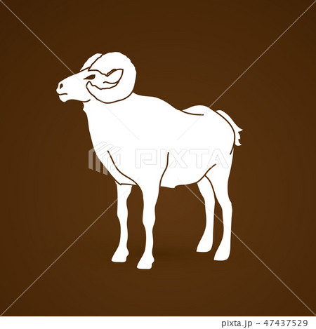 Sheep with big horn standing graphic vector Sheep with big horn standing graphic vector 47437529
