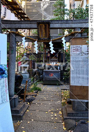 三島神社(稲荷鬼王神社) 三島神社(稲荷鬼王神社) 47437708