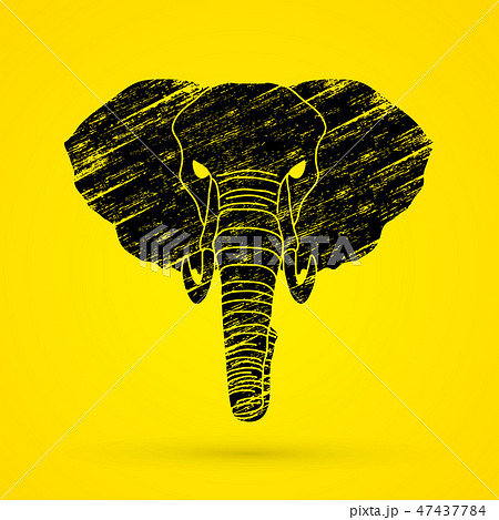 Elephant head front view graphic vector. Elephant head front view graphic vector. 47437784