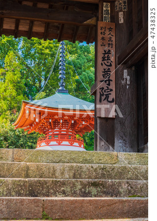 九度山　女人高野慈尊院 47438325