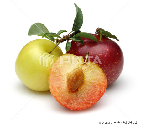 Red and yellow plums with leaves 47438452