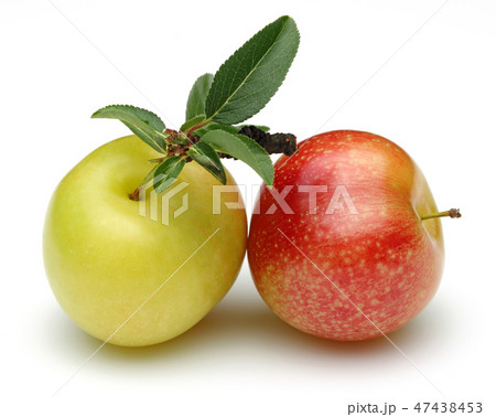 Red and yellow plums with leaves 47438453