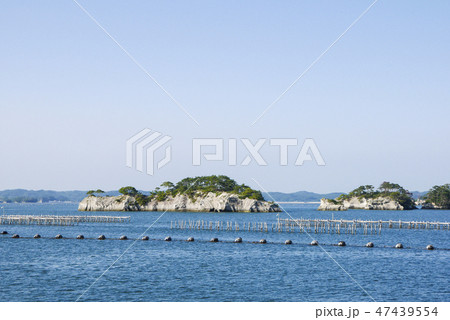 宮城 宮城 47439554