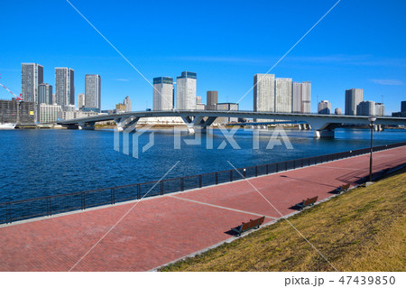 東京湾岸エリア風景 東京湾岸エリア風景 47439850